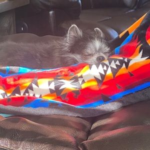 Meet your Posher, Bailee